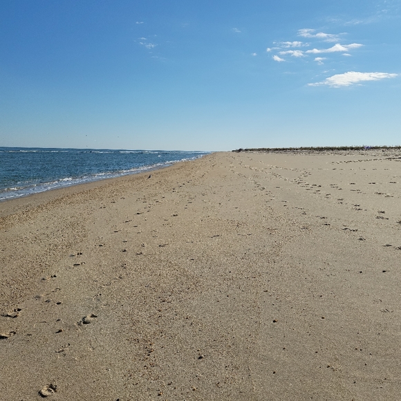 Meet your Posher, Stan - Picture 9 of 12